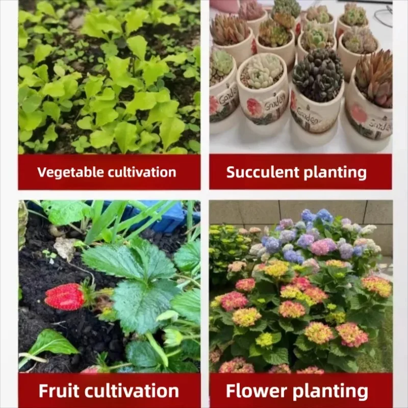 Greenhouse Kit for Home & Balcony - Durable Frame  Weatherproof Cover for Plants  Succulents  Flowers | Insect & Rain Protection