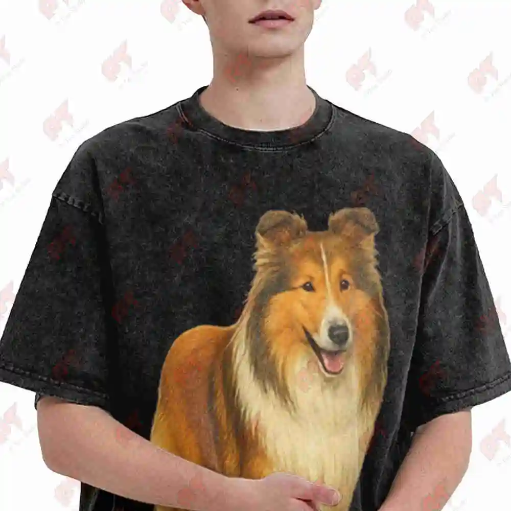 Rough Collie Dog Vintage Washed Tee Pure Cotton T-Shirt