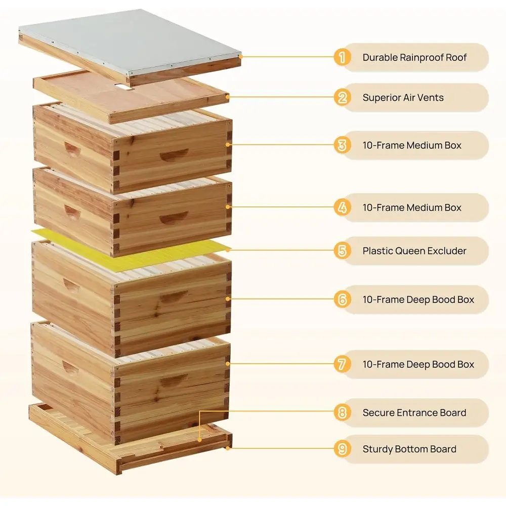 Beginner Beekeeper's Starter Kit: 10-Frame Wax-Coated Hive with 2 Deep and 1 Medium Box and Observation Window