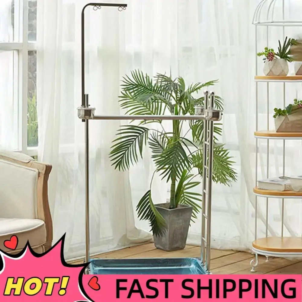 

Parrot Play Stand with Feeding Bowls Parrot Perch Stainless Steel Large Bird Playstand Parrot Training Perch Stand Bird Supplies