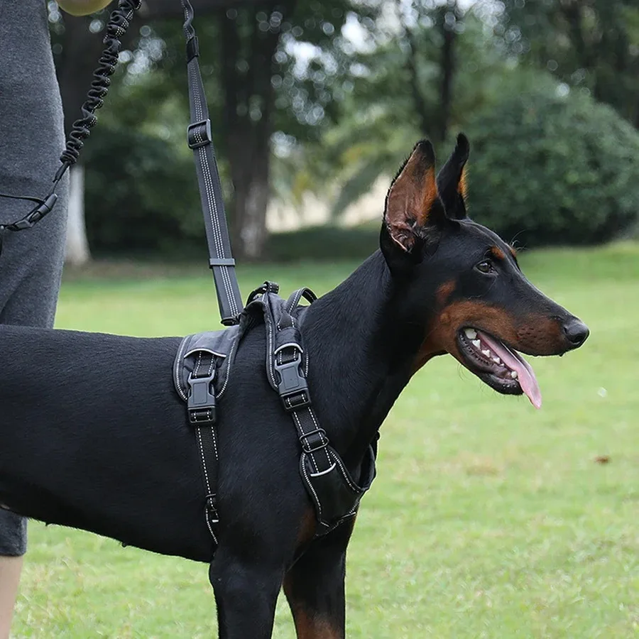 Hand Free Dog Leash for Pet Walking Running Jogging Adjustable Dog leash Waist Belt Chest Strap Traction Rope Dog Accessories