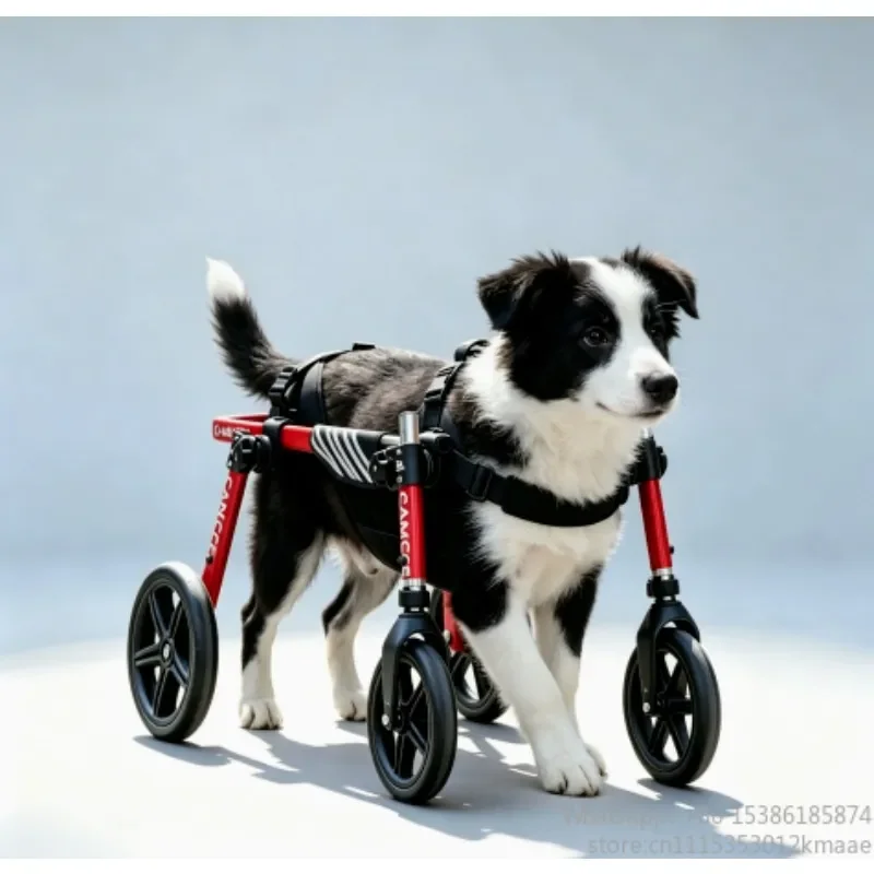 wheelchair Folding Lightweight Dog for Medium–Large Dogs – Aluminum Mobility Aid for Rehabilitation & Walking