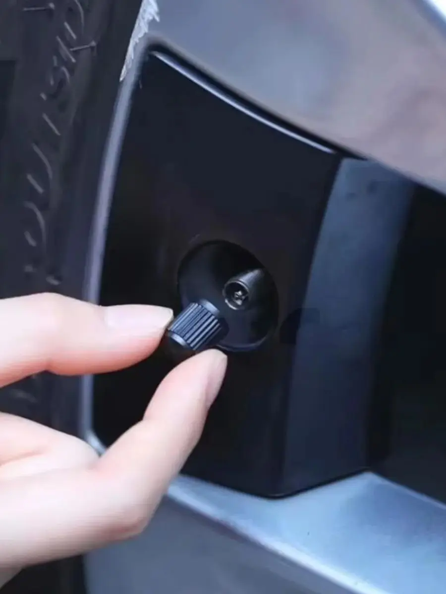 AliExpress pinmoap Car Wheel Valve Cap Dust Cover Valve Cap O-Ring Rubber Seal Car Bicycle Tire Dust Cover Sealing Cover 10/20/50/100pcs