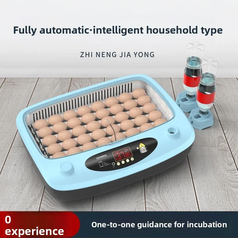

household intelligent incubator mini eggincubator small chicken duck goose birdincubator new product