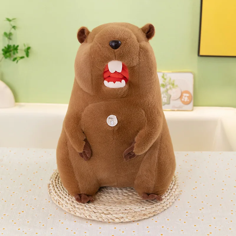 لعبة كارتون كاواي المحشوة على شكل حيوان مارموت، هدية تعبيرات مضحكة لطيفة للأطفال هدية عيد ميلاد من القطيفة