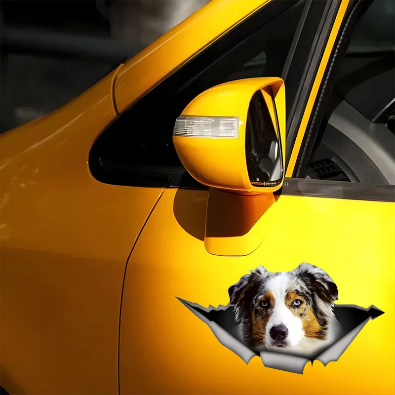 DK567# Car Stickers for Australian Shepherd Hidden in Holes, Waterproof Irregularly Shaped Car Decoration Decals
