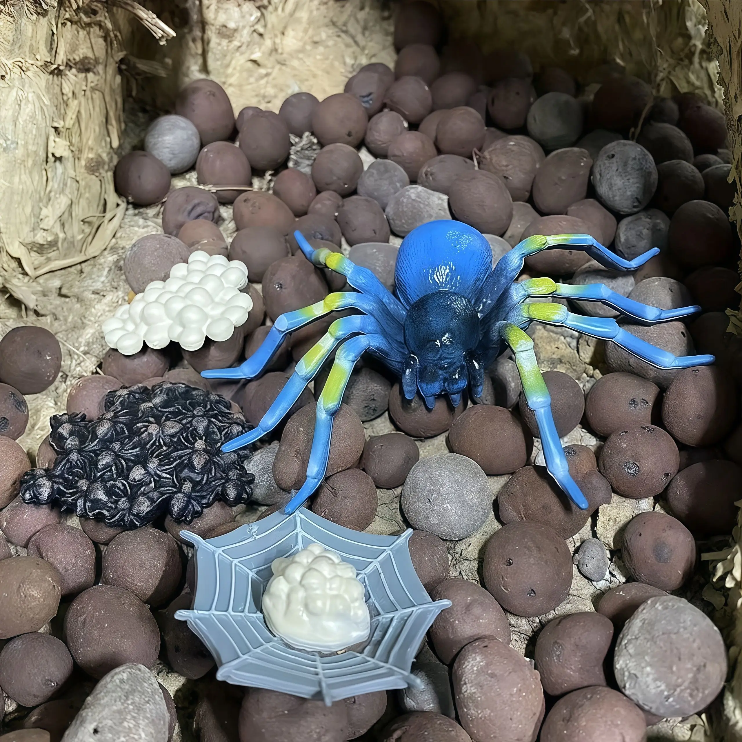 مجموعة نماذج محاكاة لنمو الحشرات لنمو الحشرات، مناسبة للديكور المنزلي، وزخارف سطح المكتب، وإدراك الأطفال #5