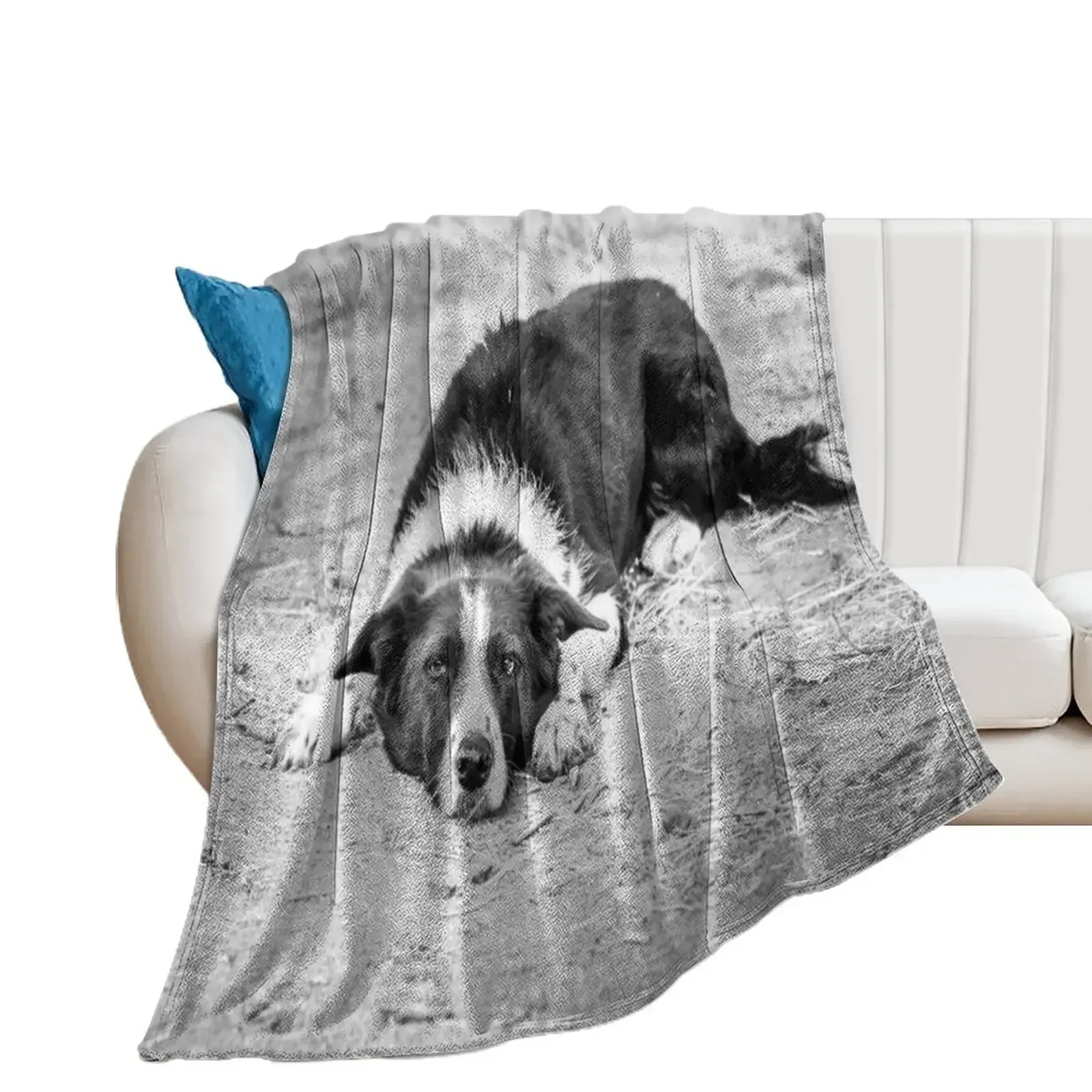 

Black and White Border Collie Lying on Ground Throw Blanket blankets ands Kid'S Blankets