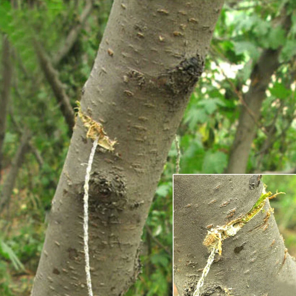 Serra de fio de aço inoxidável portátil de 55cm com aperto de dedo, ferramenta de sobrevivência para acampamento ao ar livre, caminhadas, serra de corrente manual de bolso