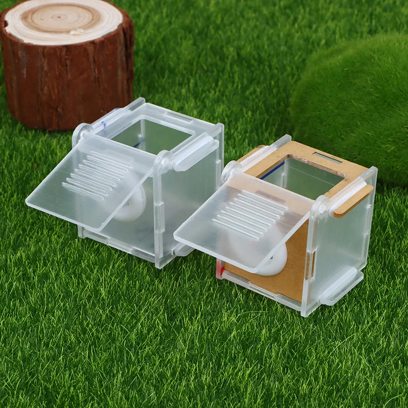 Acrylic High Transparent Ant Activity Area Test Tube Connection Nest DIY Farm Feeding Box 15/18mm Caliber