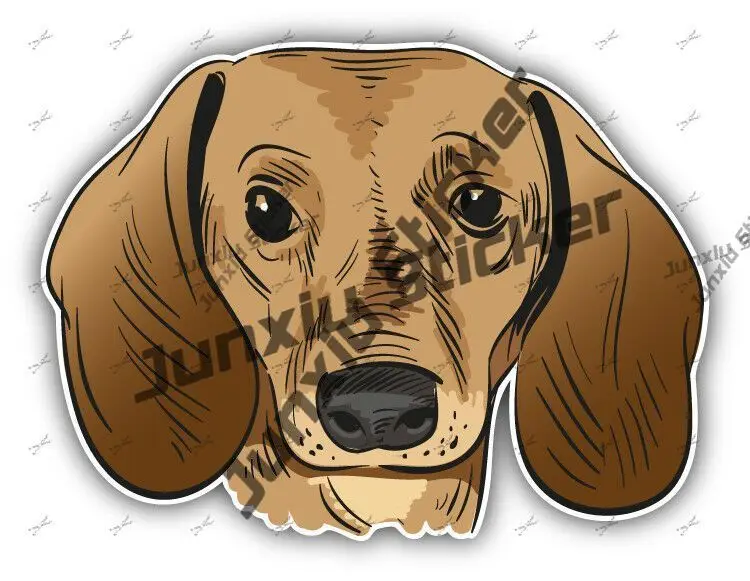 

Dachshund Dog Head Car Bumper Sticker Lover Dog Decor Vinyl Decal Occlusion Scratch Exterior Accessory Cars Accessories