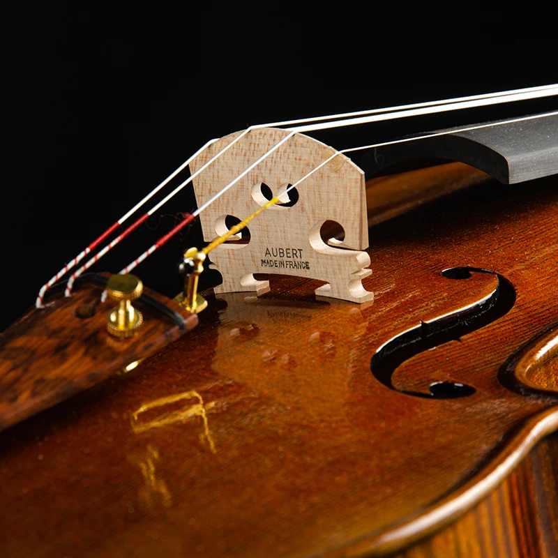 CHRISTINA Violin for Professional S400A with Snakewood Fittings European High-quality Spruce Two-piece Flame Maple Back 4/4 Size