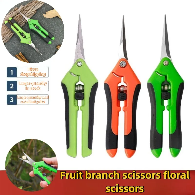 yZ[zlԍHwɊÂ΂ dp tp͂ A̎}ʕ̐mȐؒf K{̒tp͂