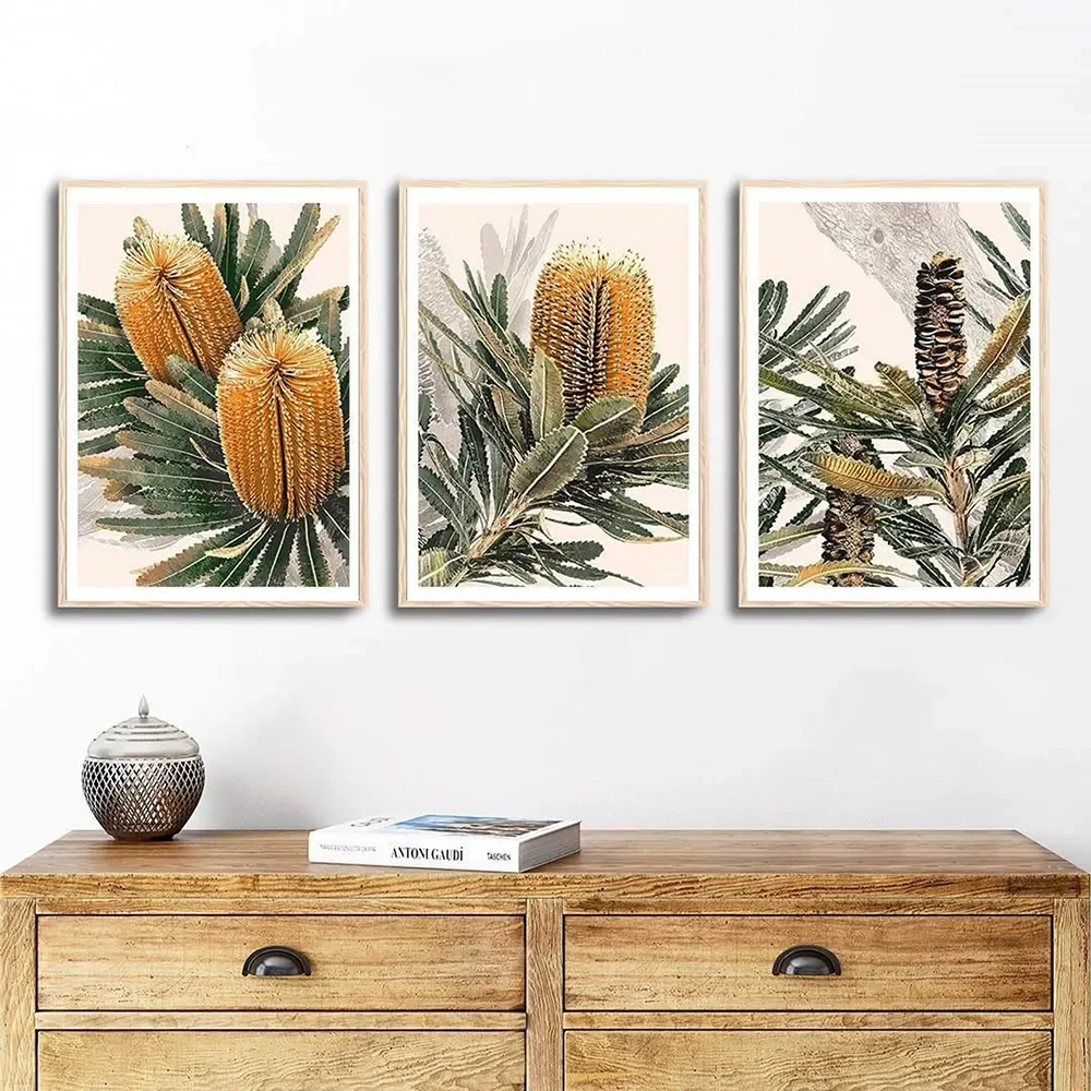 Banksia Canvas Painting Wall Art Australian Native Flower Watercolor Flowers Decor Botanical Print for Living Room Decor