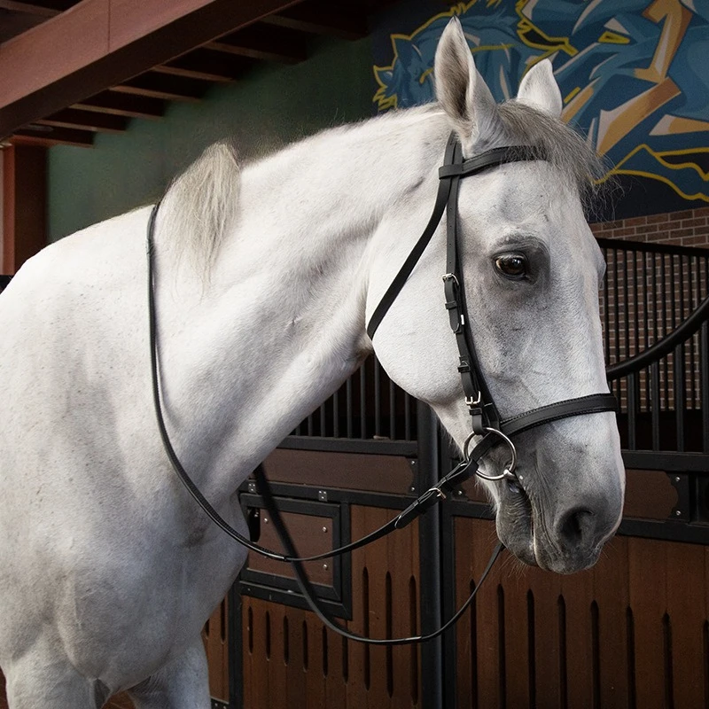 Equestrian PVC Coated Nylon Bridle Rein Set Durable Horse Riding Equipment Model Horse Products 2