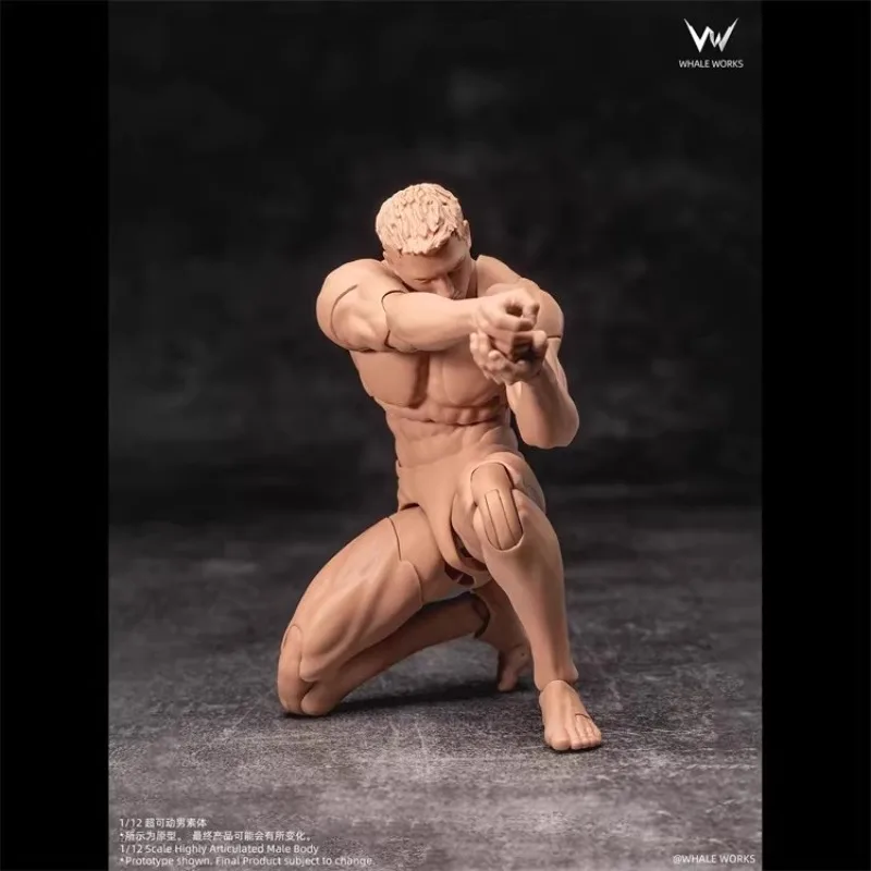 

WHALE WORKS Предзаказ: Коллекционные экшн-фигурки ASH Dolls, мужское суперподвижное тело в масштабе 1/12 с подвижными глазами