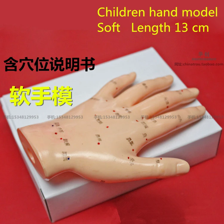 

medical teaching HD Hand acupoint model finger acupuncture model palm massage hand model reflexology meridian acupoint reflex