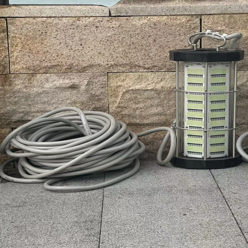 

110v/220v 4000w Waterproof IP68 Aluminum Alloy Multi-color Underwater LED Fishing Light For America And Canada