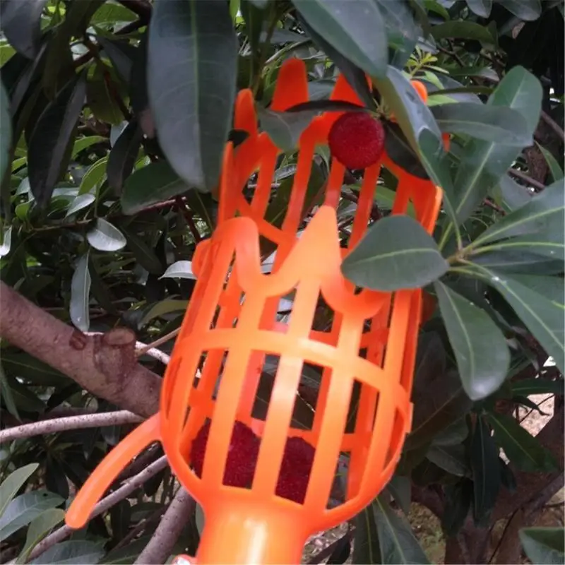 HX6C Garden Basket Fruit Frunt Sighters