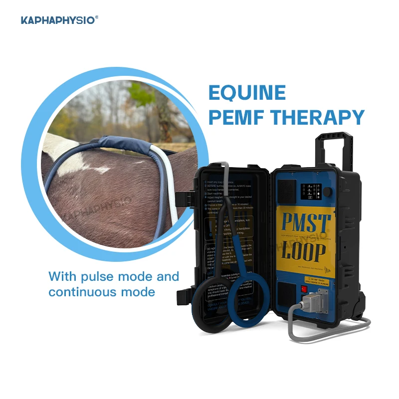 Pmst Loop Pemf Magnetic Therapy For Vet Horse Disease Rehabilitation