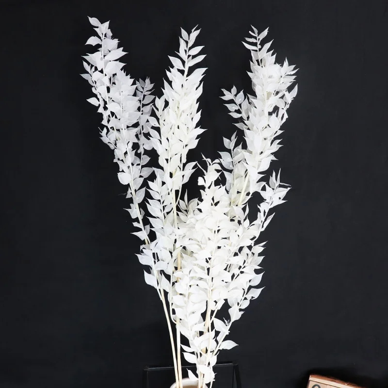 

Dried Real Eucalyptus White Italian Ruscus, 5 Stems, 16.92 ", Bunch for Boho Wedding, Home Party, Greenery Vase Decor