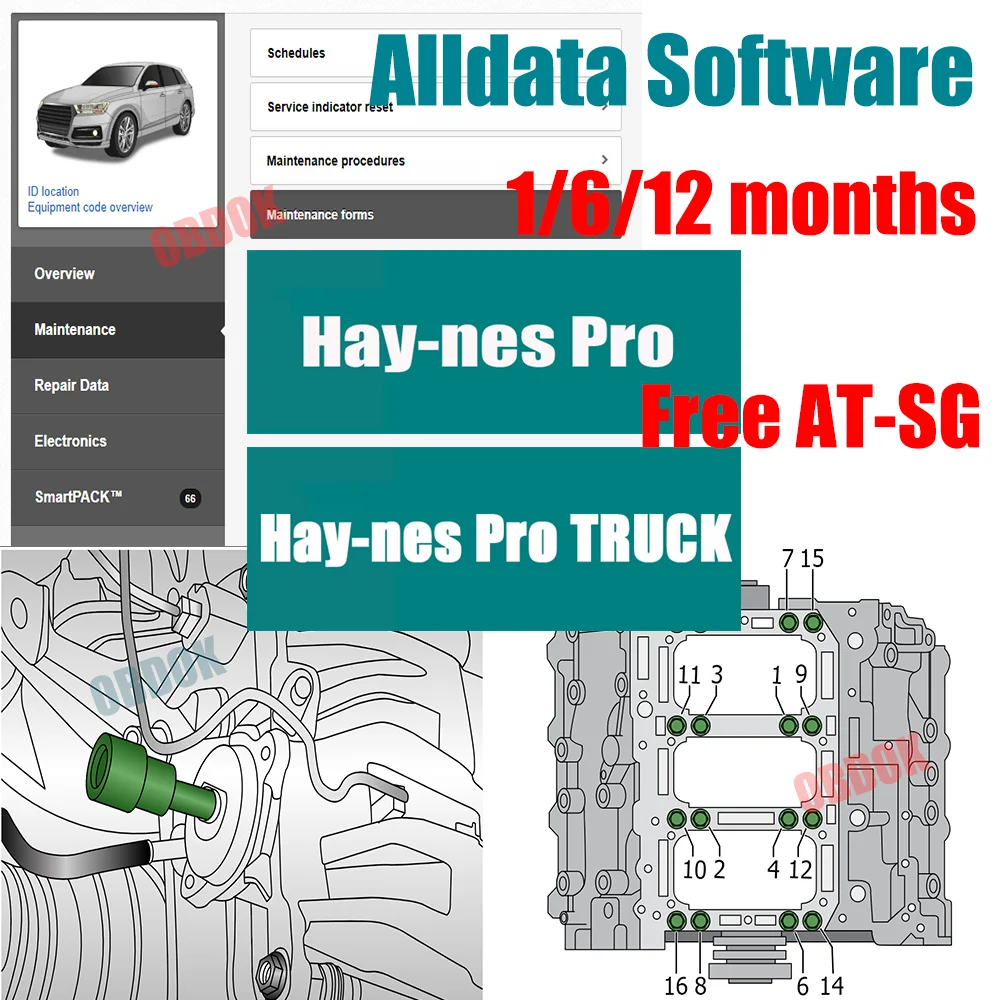 Alldata Hay-nes PRO Online Account Deluxe Newest Whole Data Software Car Workshop Repair Data Wiring Diagram with AT-SG Free
