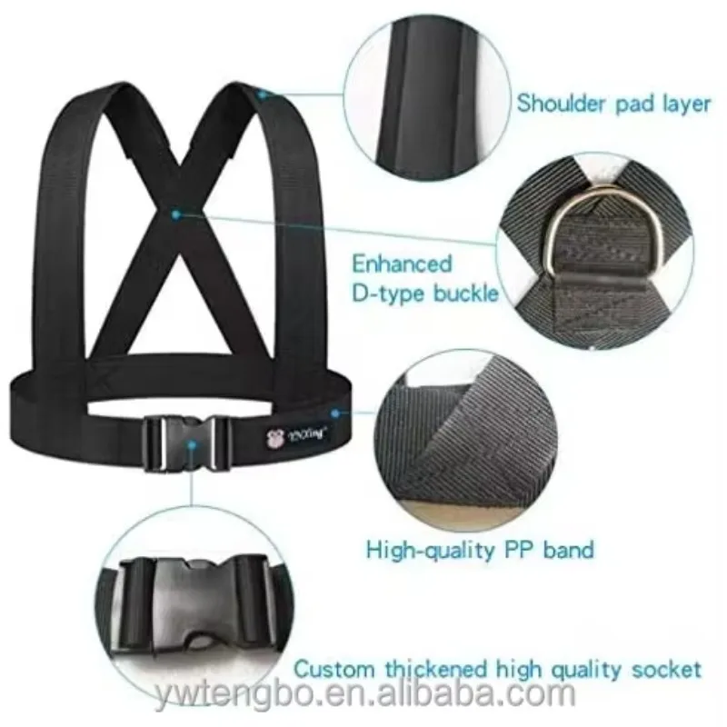 Dual Resistance Latex Pull Rope Elastic Band Track Field Sprint Power Jumping Physical Conditioning Training