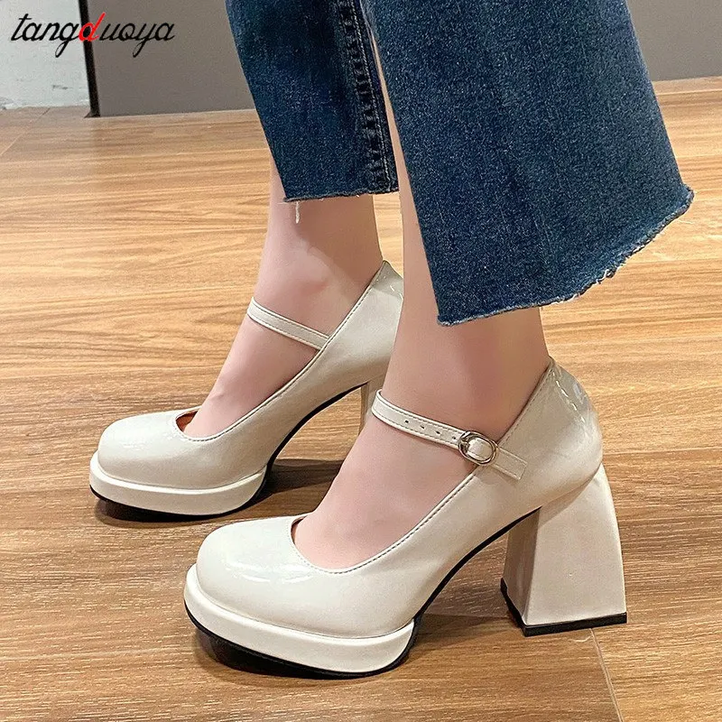 Mary Jane Shoes Women 2024 New summer Thick Heels High Heels Round Toe Buckle Strap Pumps Elegant Luxury Women\'s party Shoes