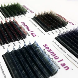 Colored Lashes Ombre Eyelashes Extension Individual False Mink Lashes Purple Brown Red Eyelash Extension