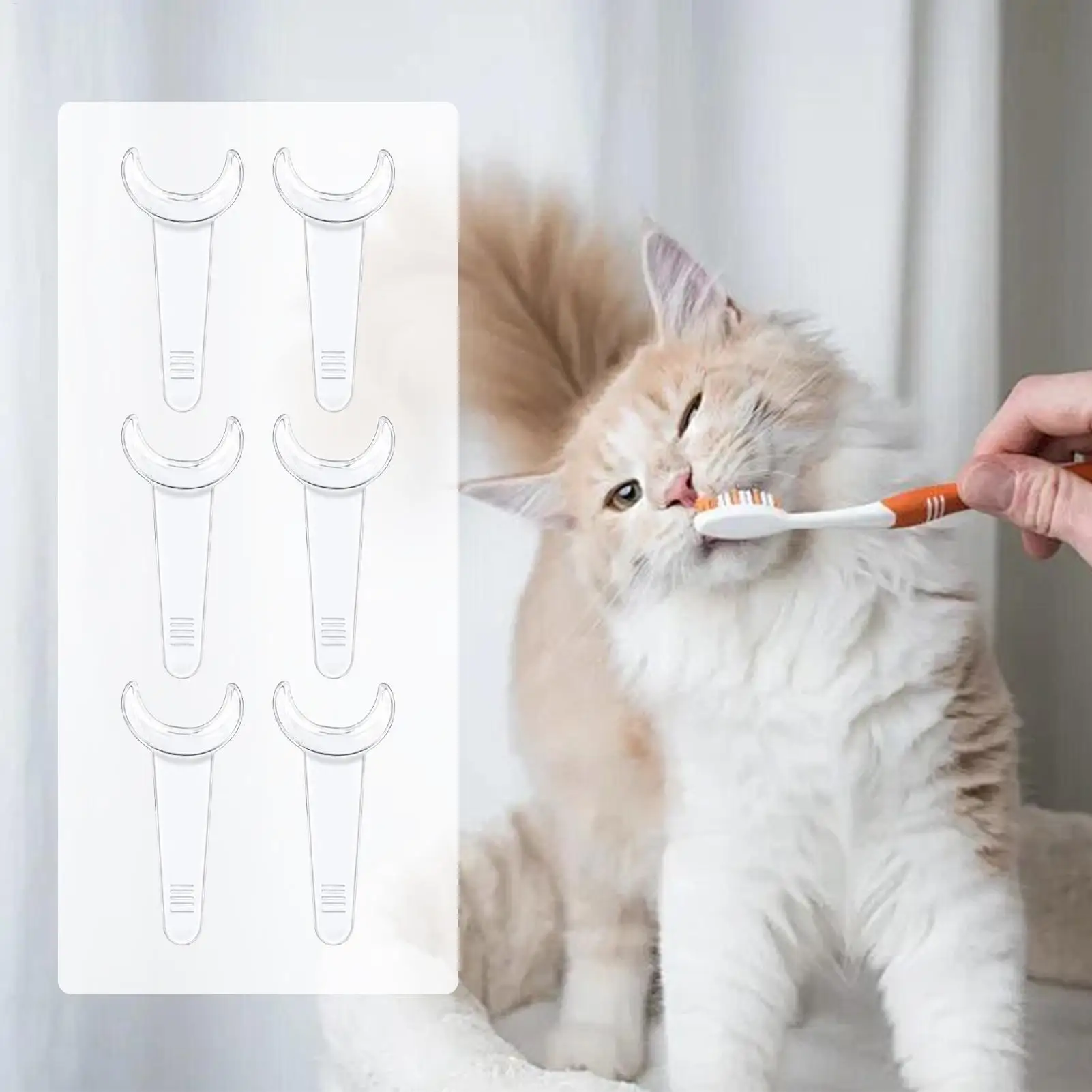 ​1 Set Pet Orals Cleaning Supplies Cat Dog Orals Care Tools Daily Cleaning Residues More Convenient With Dog Teeth Cleaning Aid​