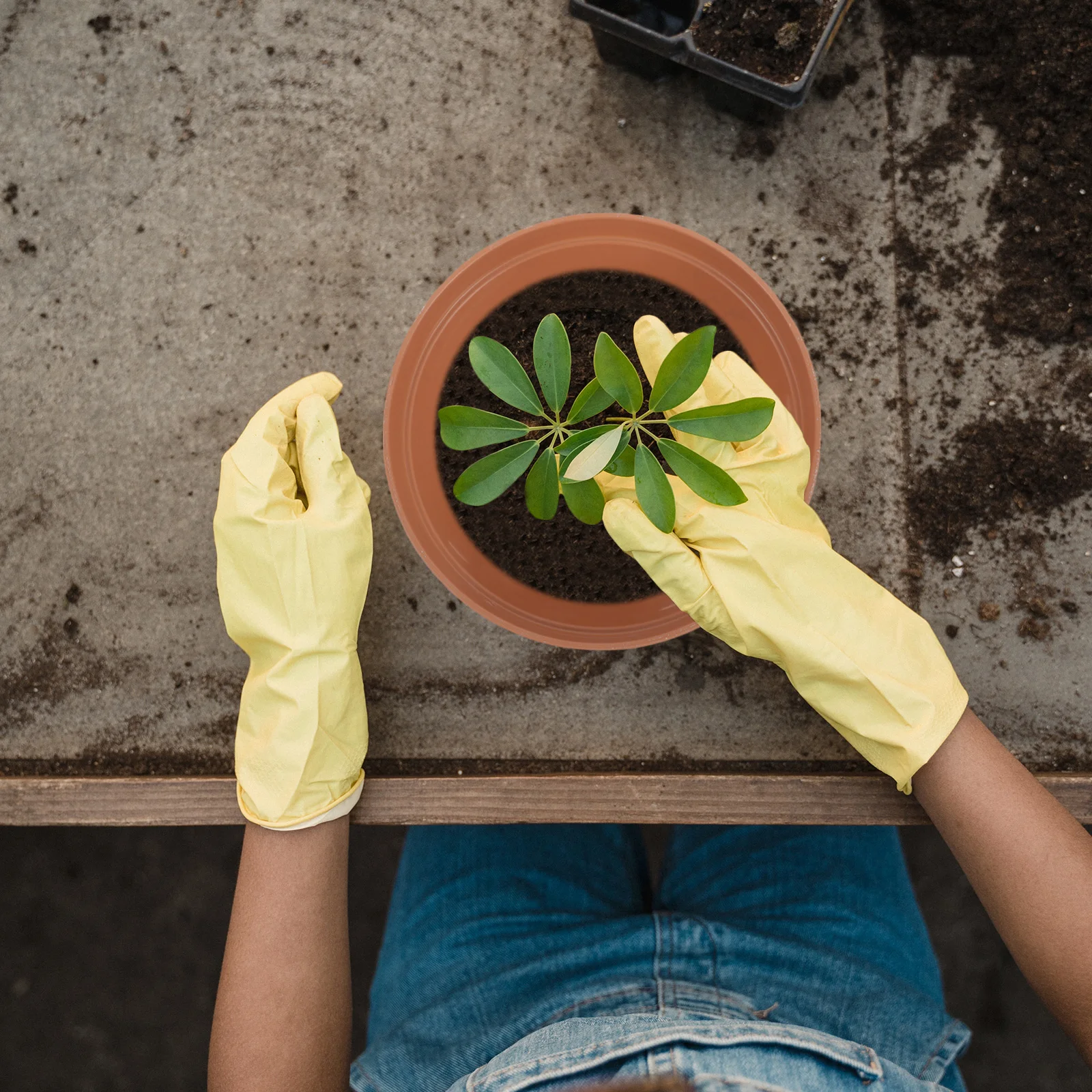 Terracotta Clay Pots Ceramic Pottery Cactus Flower Pots Orchid Nursery Pot Plastic Flower Plant Pot Drainage Holes