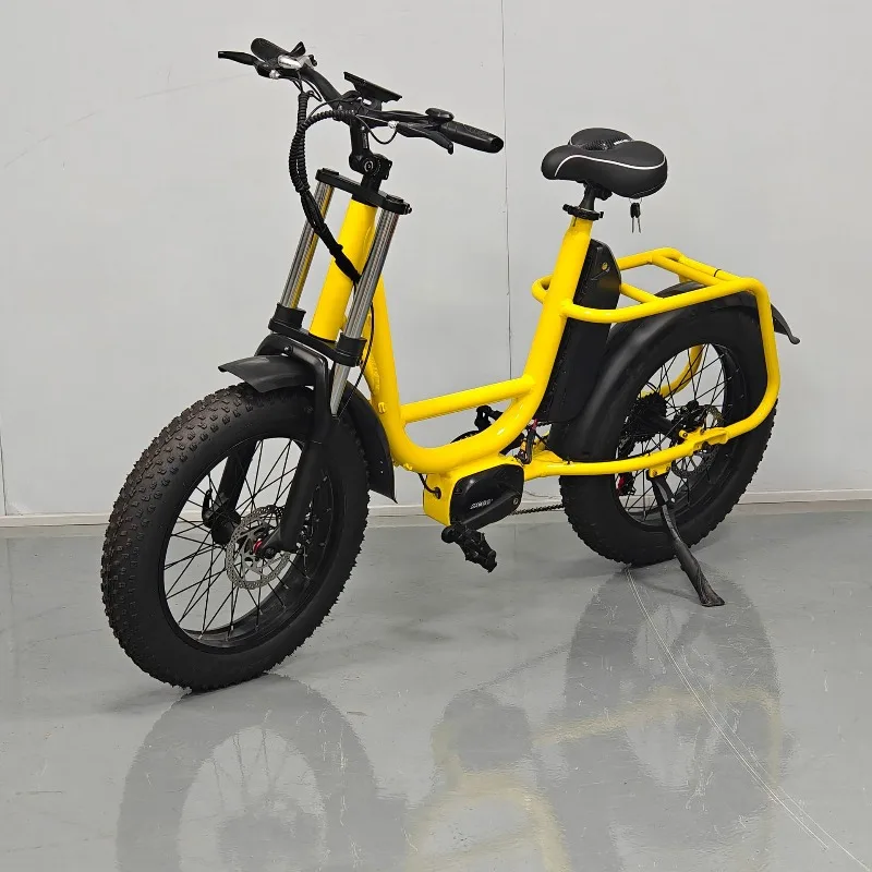 20 inch wide tire snow electric bicycle electric assist bicycle