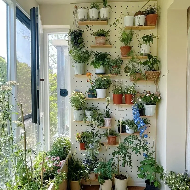 Balcony flower stand does not take up space Shelf flower stand bracket hole board new wall hanging natural flower stand plant