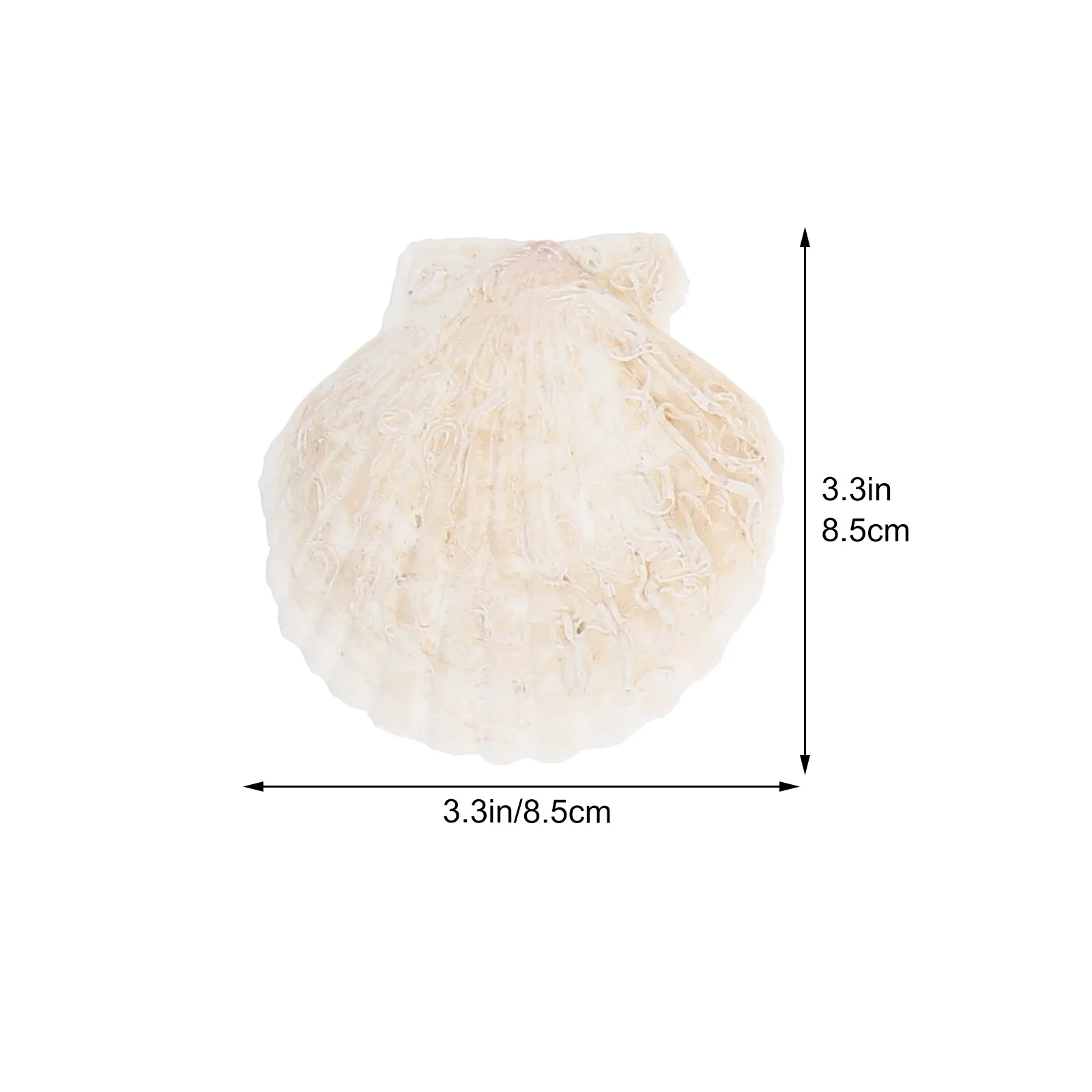 1 ensemble 1 ensemble bricolage coquille Kits de peinture Premium blanc Graffiti couleur enfants créatif main Art éducatif Doodle fournitures de formation