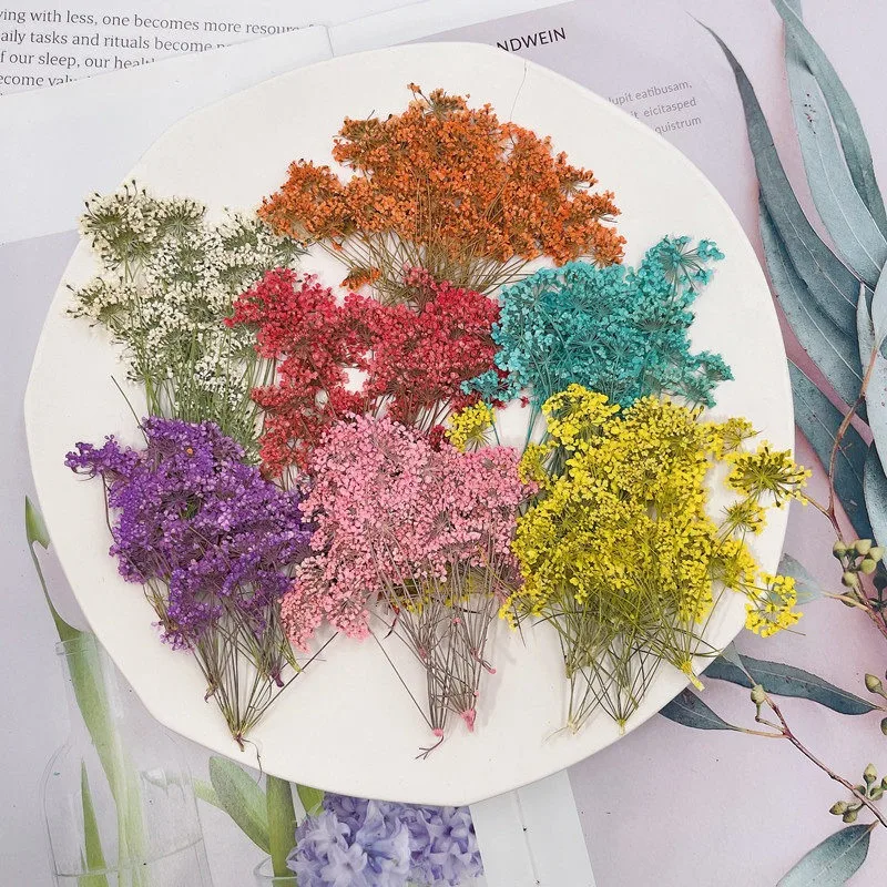 60pcs Pressed Dried Natural Multi-head Lace Flower For Resin Epoxy Jewelry Postcard Invitation Card Bookmark Candle Scrapbook