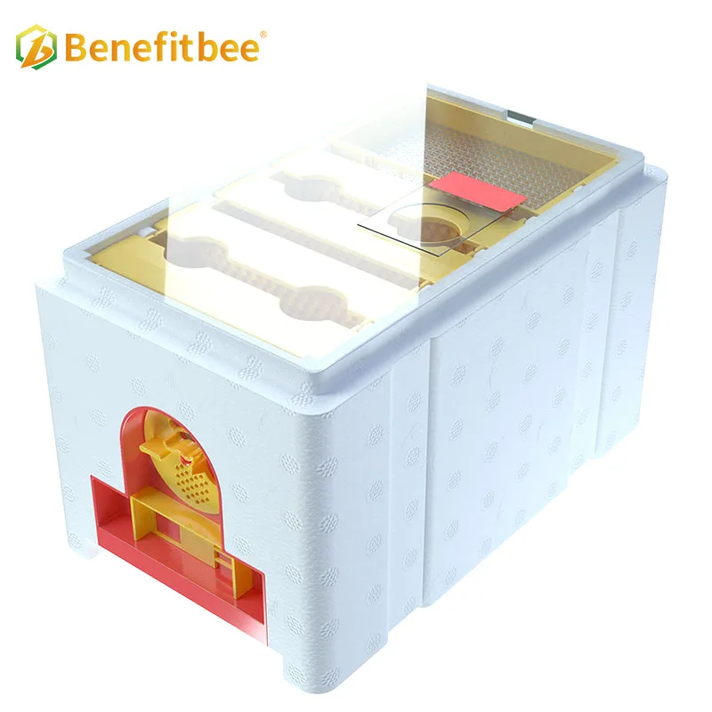 Benefitbee تصميم جديد Mini Hives Kit Queen Bee Mating Box #5