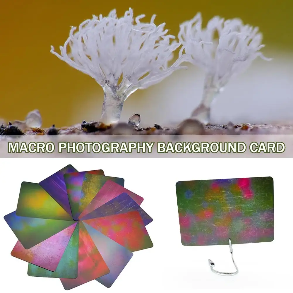 Tło do fotografii makro Karta Wielokolorowe rozmycie światła Materiał absorpcyjny makro Tło fotograficzne Ekologiczne kreaty V3D9