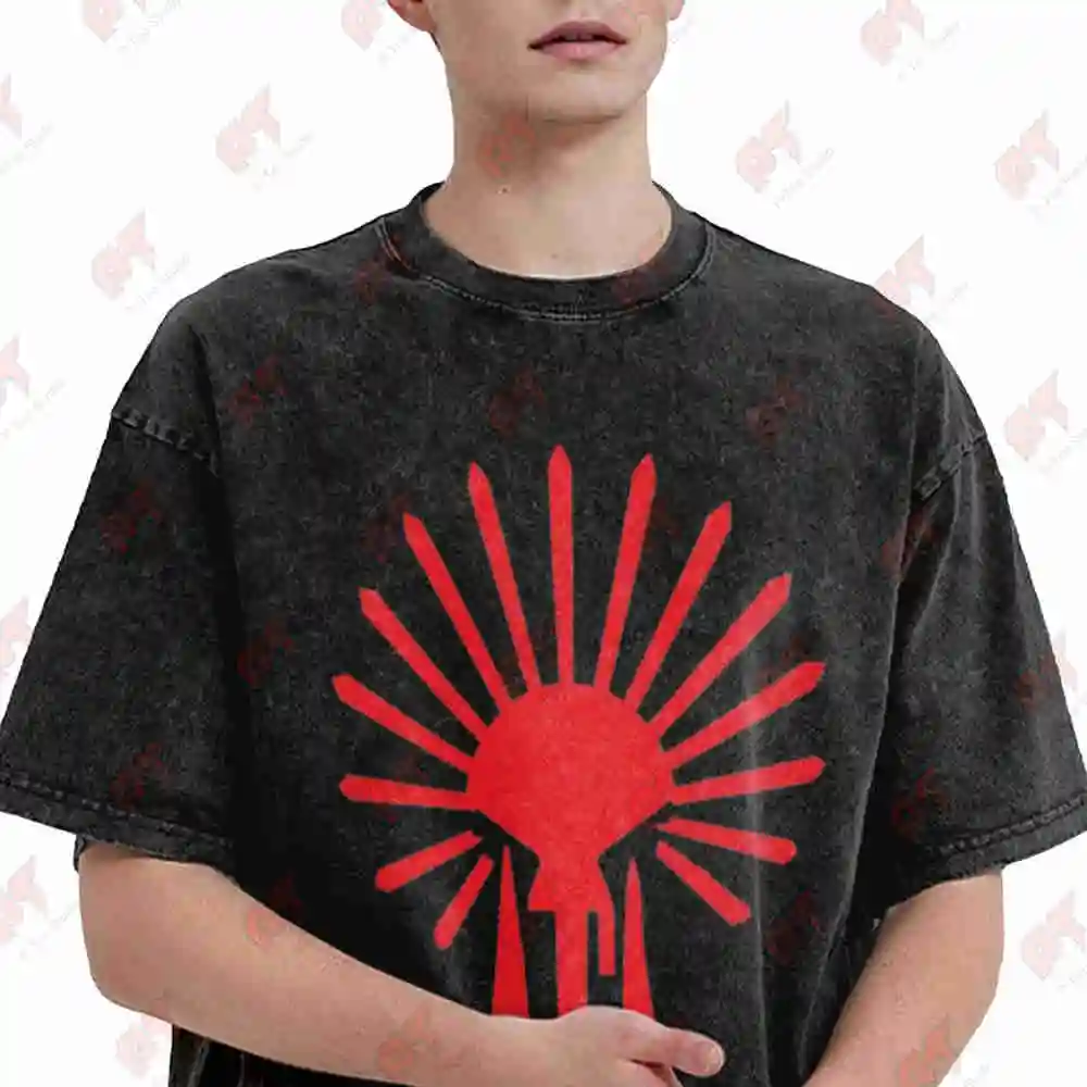 Empire Of The Sun Vintage Washed Tee Pure Cotton T-Shirt