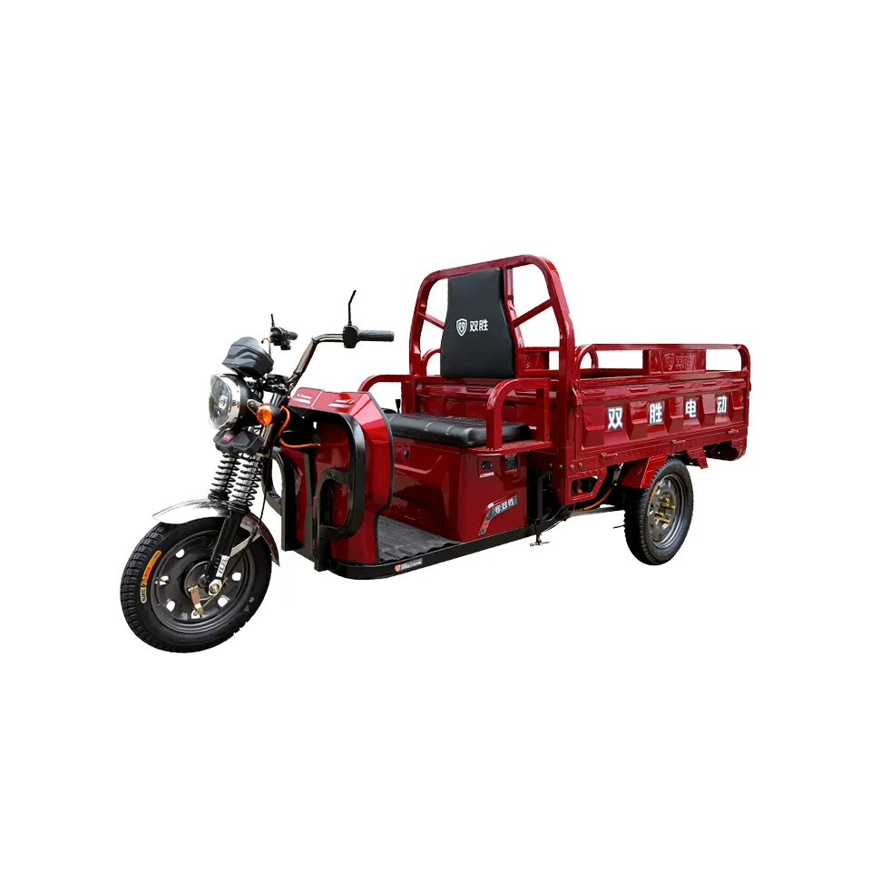 

1000W Electric Cargo Rickshaw 3-Wheeled Passenger Carrying Cheap Electric Tricycle 60v 72v Open Body Multi-Color Choice