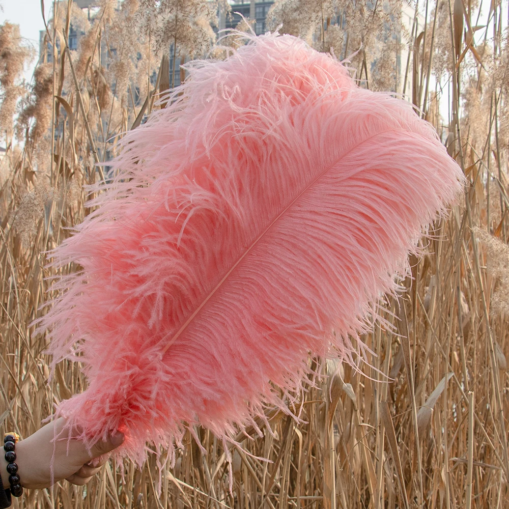 10Pcs Natural Ostrich Feathers Multiple Size 15-20cm 25-30cm 30-35cm for Wedding Christmas Carnival Decor Handcraft DIY Supplies