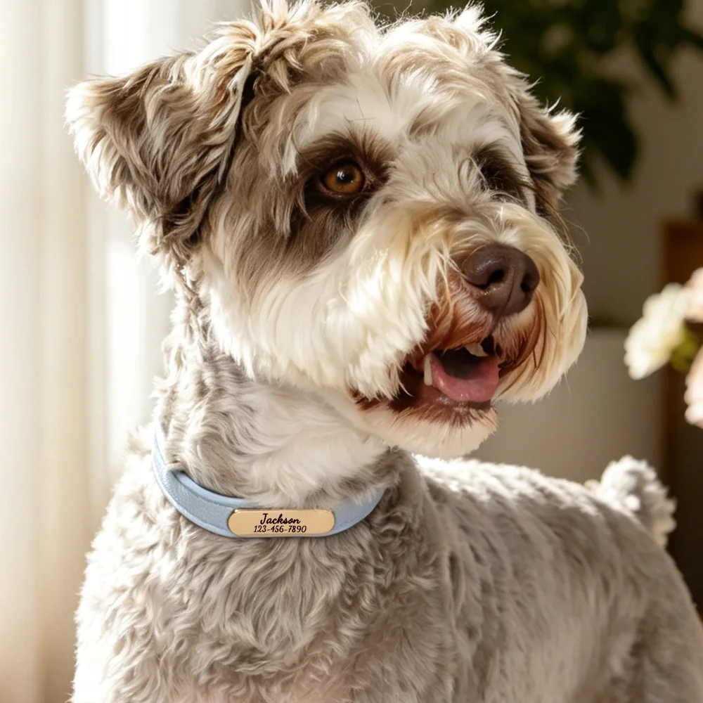 Luxury & Soft Leather Personalized Dog Collar and Pendant Pet Puppy Cat ID Nameplate Engraved for Small Medium Dogs