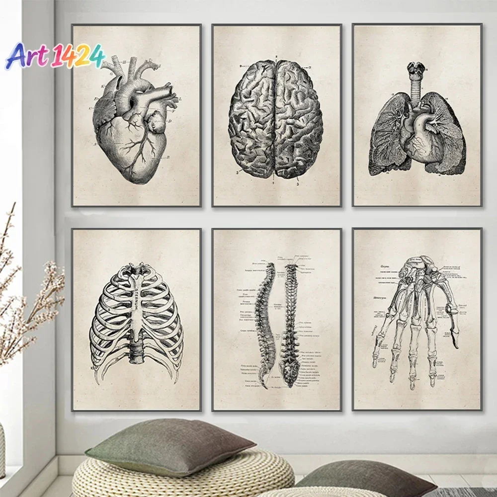 (No frame)1pcsVintage Human Skeletal Frame Organs Medical Posters Anatomy Muscle Skeleton Prints Pictures Wall Art Canvas Pai