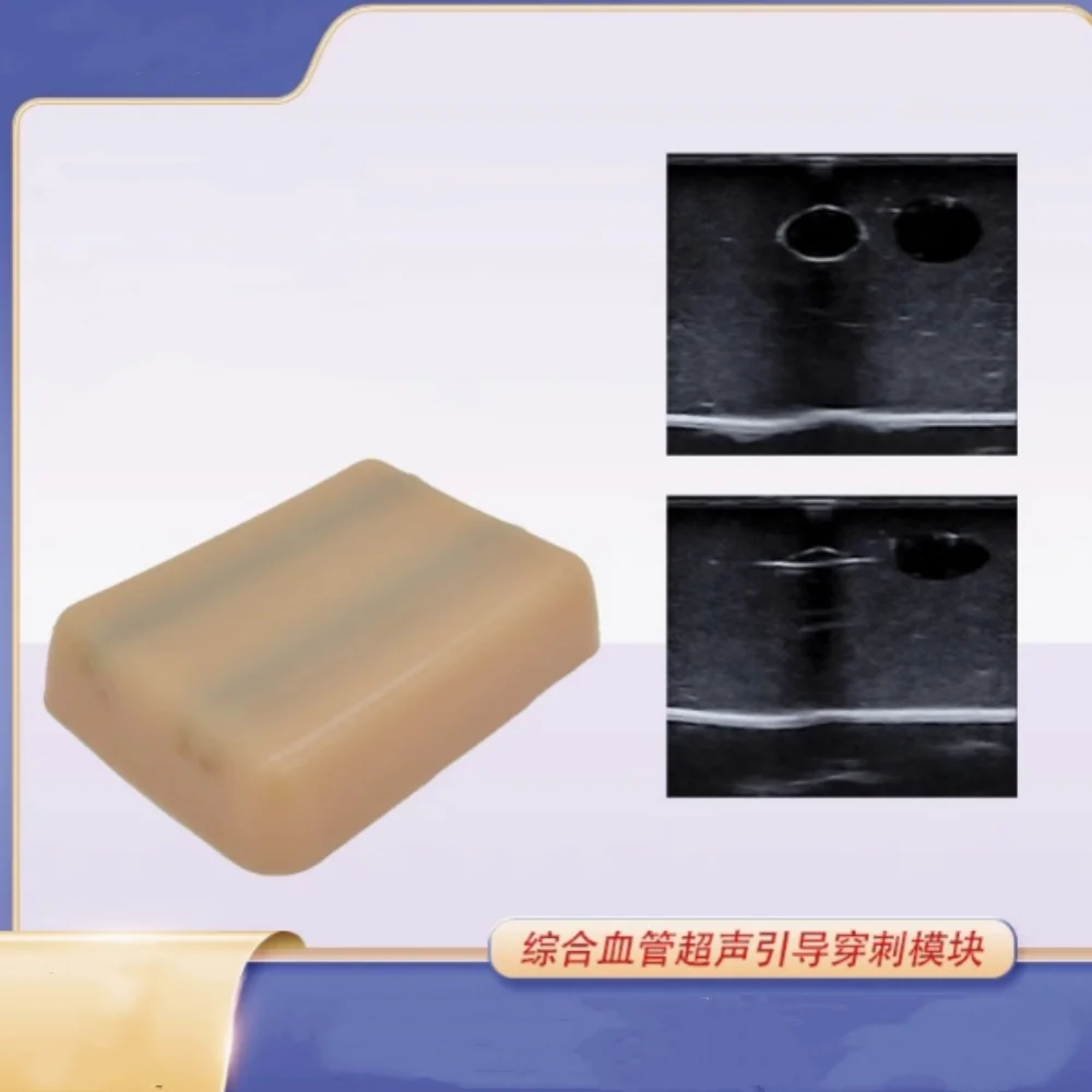 Ultrasound-guided vascular puncture model of cervical femoral artery and vein piccB ultra-interventional small model
