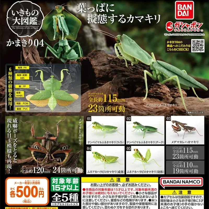 BANDAI Japan Original Kawaii Gashapon Figure Artificial Insect Cute Biology Map Mantis Capsule Toys Anime Figurine Gift