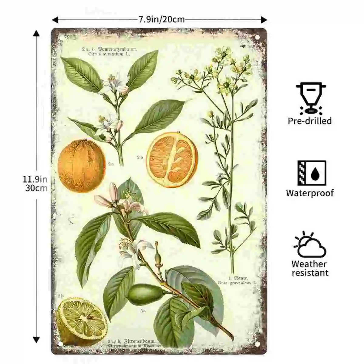 2D FLAT 1pc Vintage Botanical Citrus and Rue Plant Metal Wall Sign Decoration for Home Cafe Garage Bedroom Porch And Garden