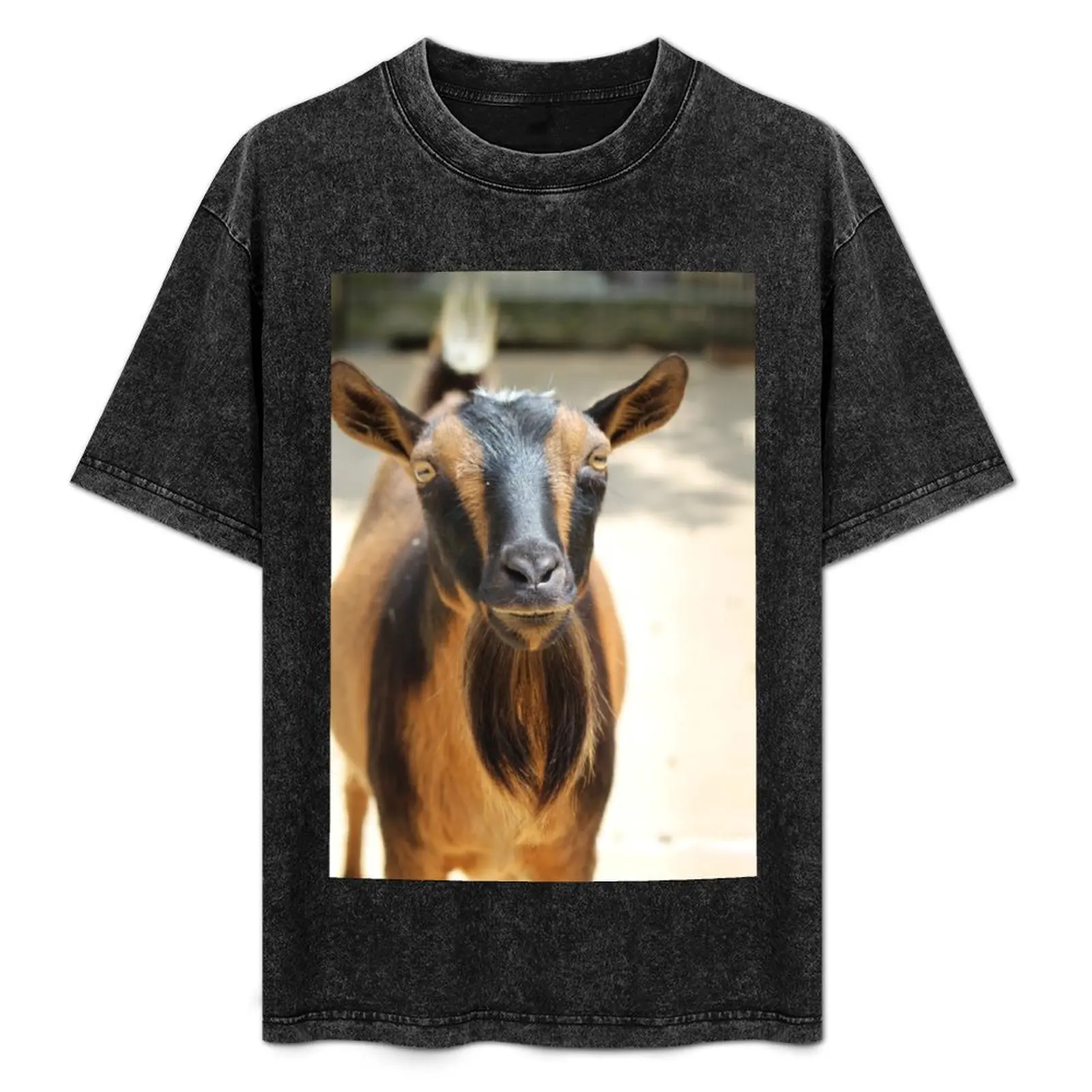 

Sophie T-Shirt Thanksgiving Casual Tee