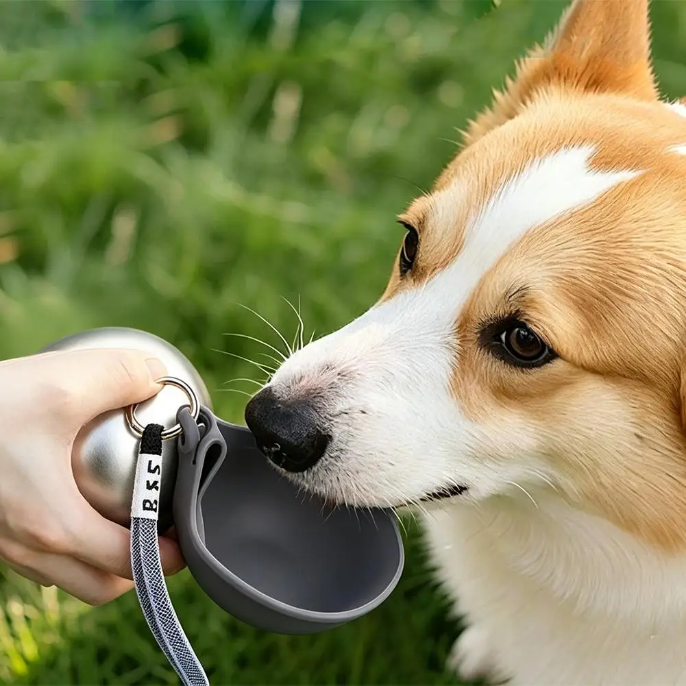 304 Edelstahl Haustier-Trinkflasche, runde Outdoor-Wasserflasche für Katzen und Hunde, tragbarer, faltbarer Wasserspender mit Hängeseil – Detail 31