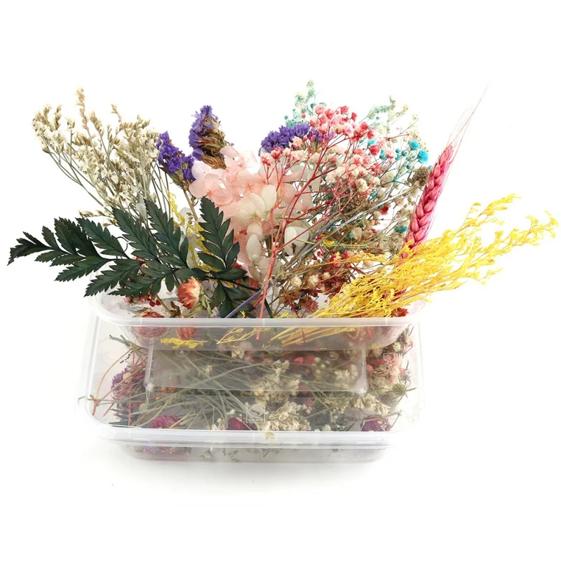 1 Box Natural Dried Flowers for DIY Resin Candle Making Aromatherapy Candle Making Wedding Home Party Decor Home Decor