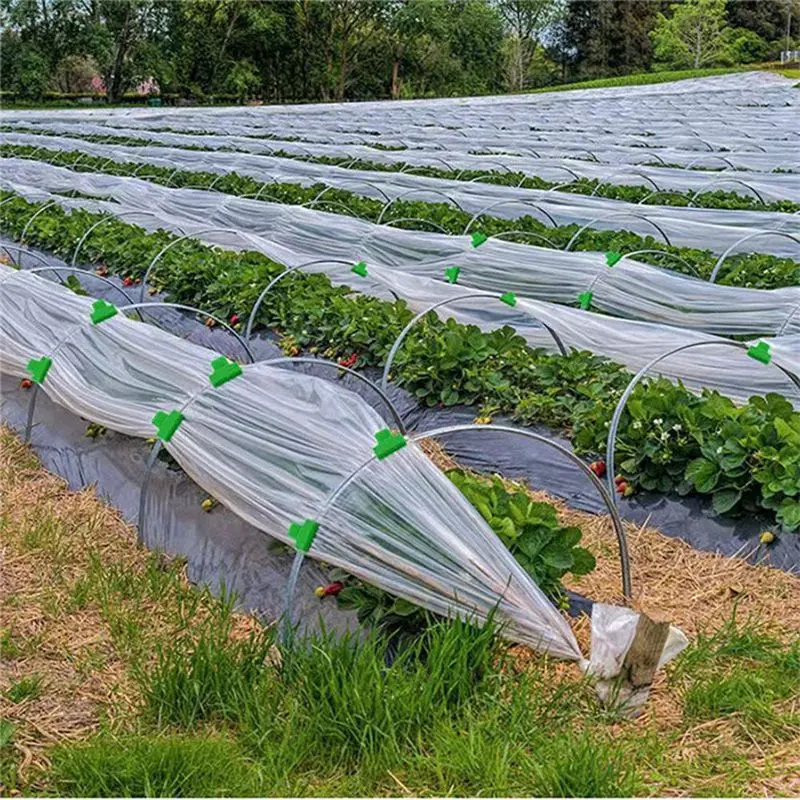 A98E-50Pcs Greenhouse Clamps,Pipe Clamps For 16Mm Plant Stakes,Row Cover Clips Garden Hoops Garden Clip