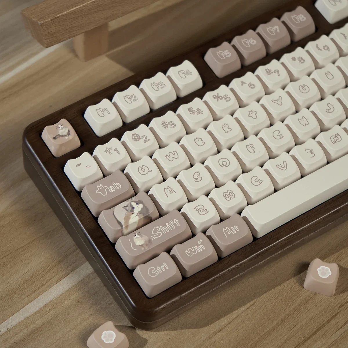 

MAO cat mechanical keyboard keycap 144 keys PBT hot sublimation coffee color cute cat girl 61/75 etc